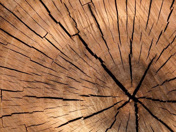 Kiedy najlepiej impregnować drewno? Oto klucz do sukcesu